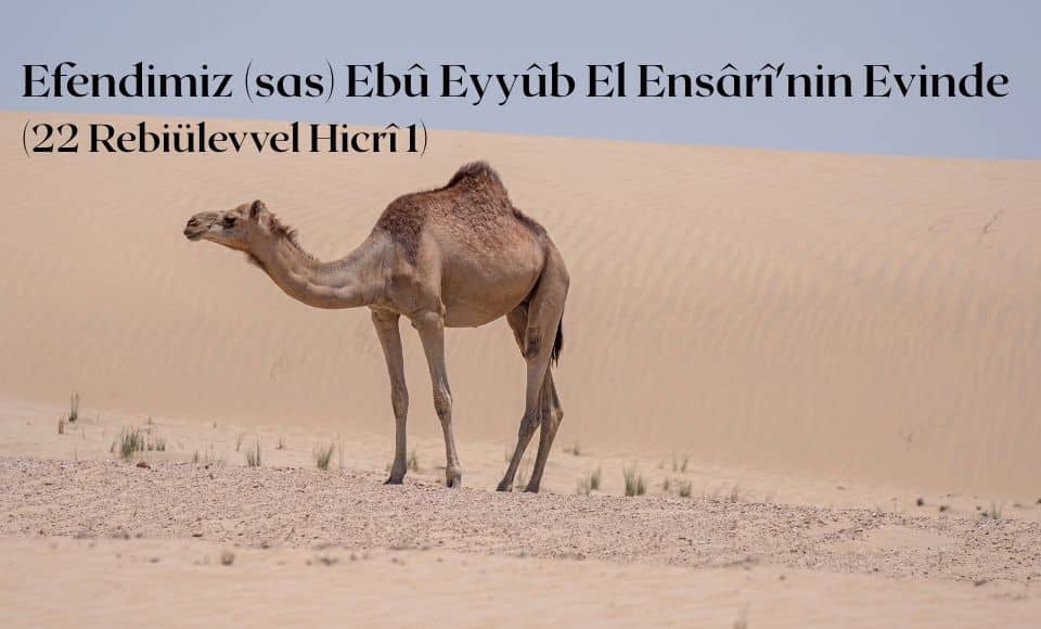 Efendimiz (sas) Ebû Eyyûb El-Ensârî'nin evinde (22 Rebiülevvel Hicrî 1)