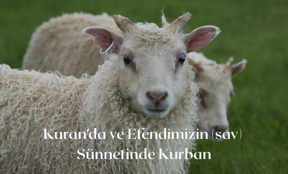 kurban