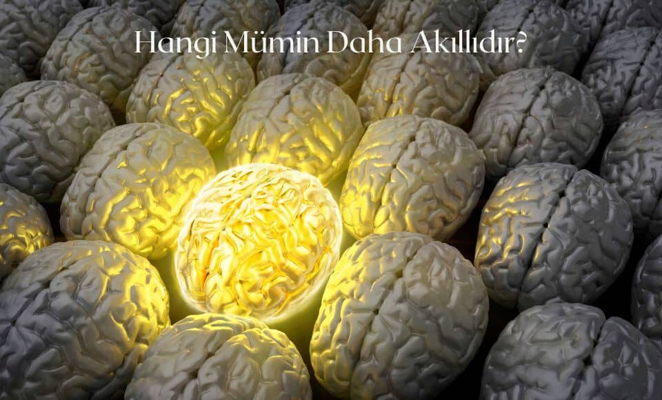 hangi-mumin-daha-akillidir