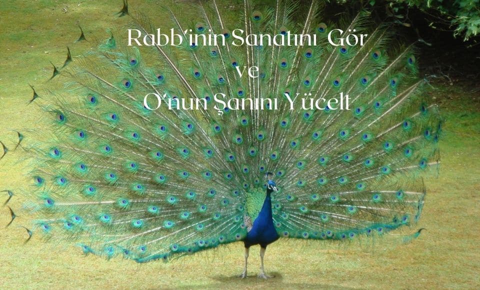 RabbininSanatini Gor ve Onun Sanini Yucelt 960 x 580 piksel